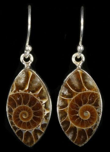 Fossil Ammonite Earrings - Sterling Silver #38132